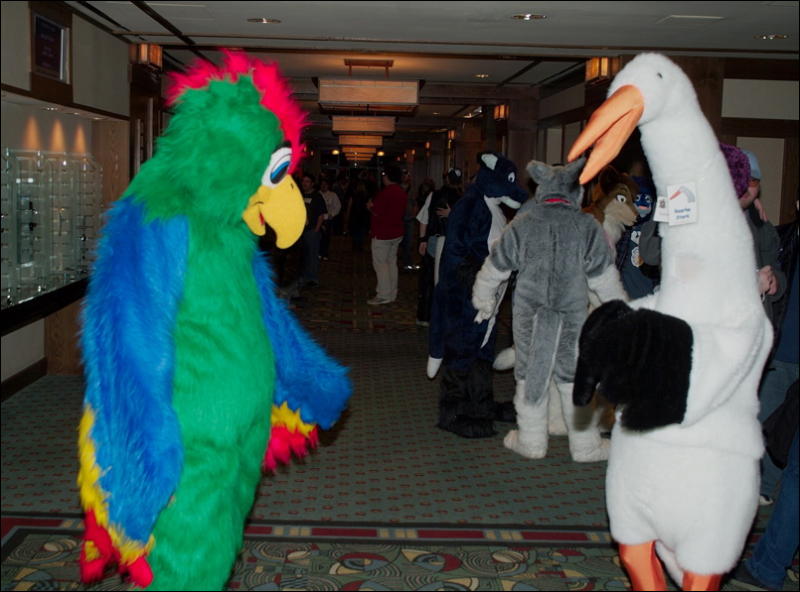 [Orzel_MFF2006_019.jpg]