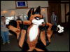 [Orzel MFF2006 022]