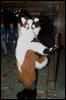 [Orzel MFF2006 027]