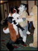 [Orzel MFF2006 033]