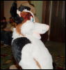 [Orzel MFF2006 034]