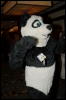 [Orzel MFF2006 051]