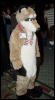 [Orzel MFF2006 057]