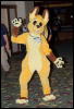 [Orzel MFF2006 061]