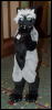 [Orzel MFF2006 066]