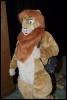 [Orzel MFF2006 077]