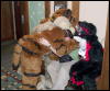 [Orzel MFF2006 079]