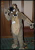 [Orzel MFF2006 080]