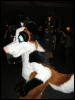 [Perro MFF2006 004]