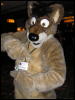 [Perro MFF2006 009]