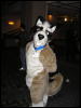 [Perro MFF2006 018]