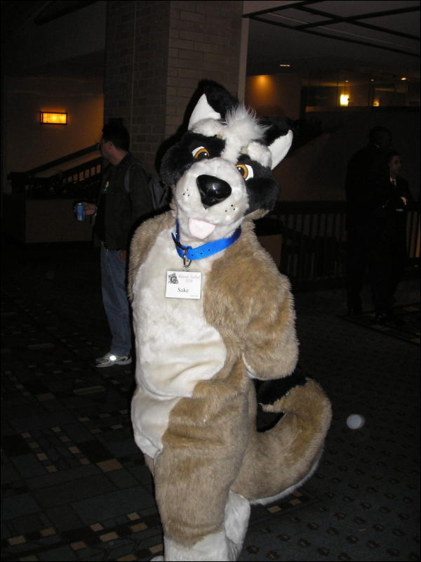 [Perro_MFF2006_018.jpg]