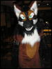 [Perro MFF2006 023]