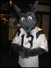 [Perro MFF2006 024]