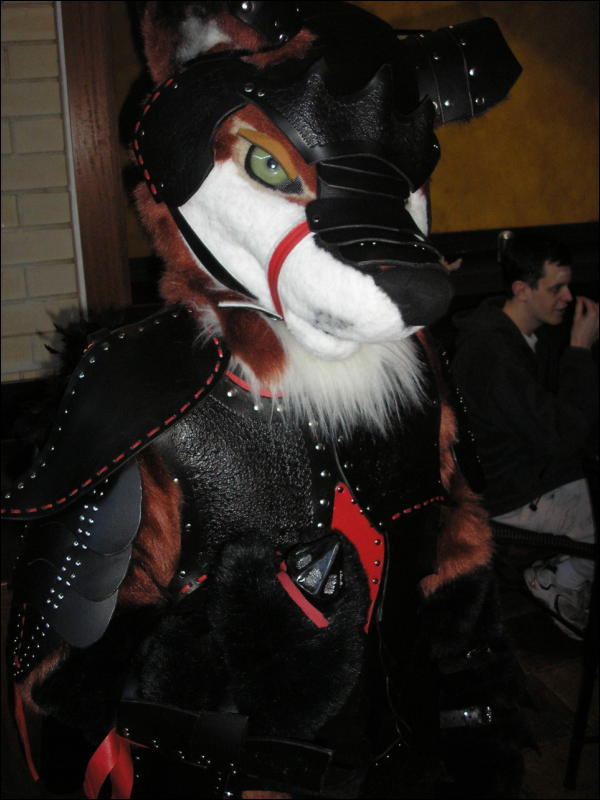 [Perro_MFF2006_046.jpg]