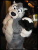 [Perro MFF2006 052]