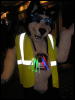 [Perro MFF2006 053]