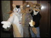 [Perro MFF2006 056]