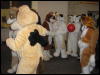 [Perro MFF2006 059]