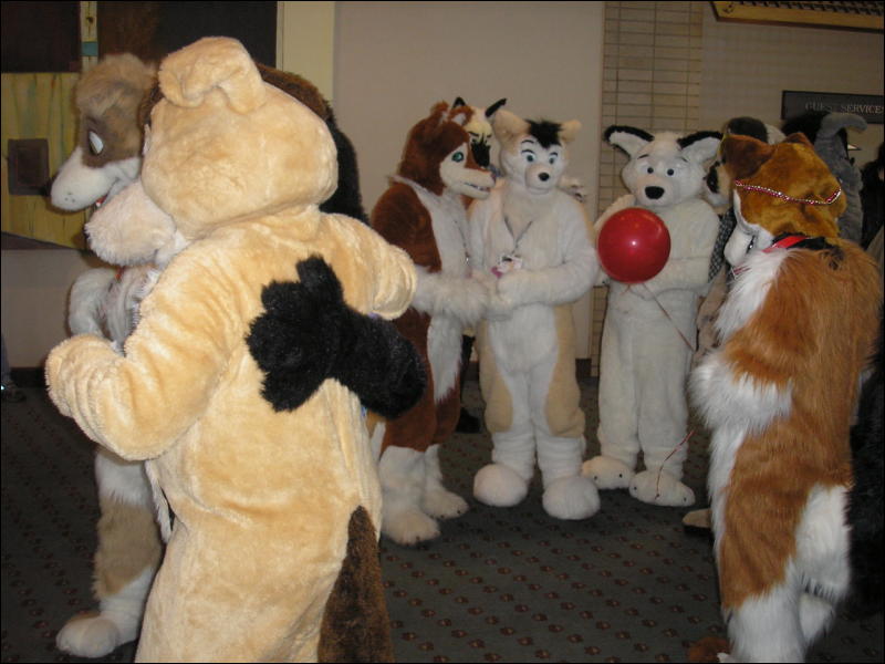 [Perro_MFF2006_059.jpg]