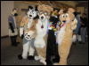 [Perro MFF2006 060]