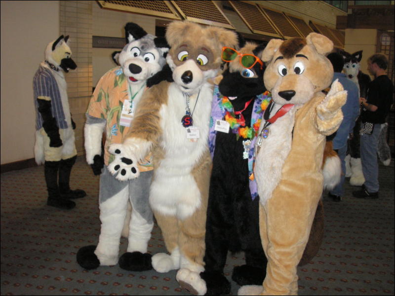 [Perro_MFF2006_060.jpg]