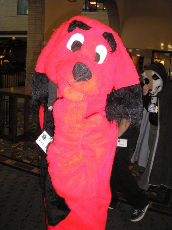 [Perro_MFF2006_062.jpg]