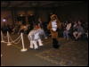 [Perro MFF2006 070]