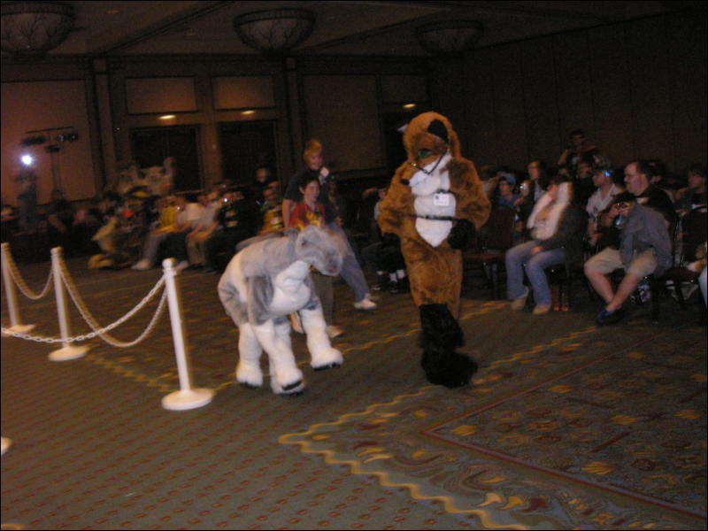 [Perro_MFF2006_070.jpg]