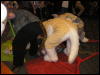 [Perro MFF2006 071]