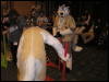 [Perro MFF2006 073]