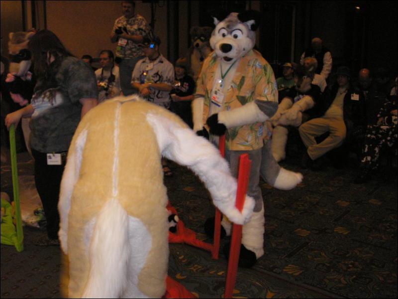 [Perro_MFF2006_073.jpg]