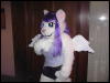 [Sodders MFF2006 005]