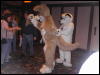 [Sodders MFF2006 012]