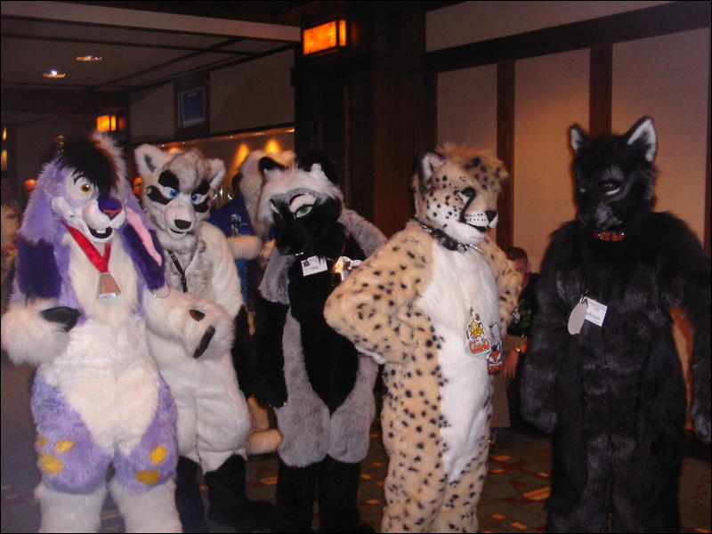 [Sodders_MFF2006_067.jpg]