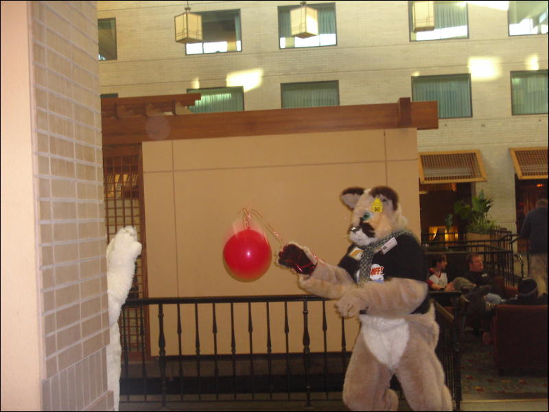 [Sodders_MFF2006_118.jpg]