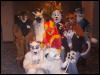 [Sodders MFF2006 128]