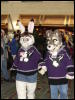 [Stunttiger MFF2006 002]