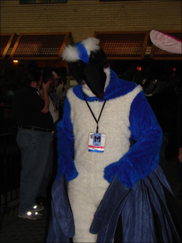 [Stunttiger_MFF2006_005.jpg]