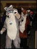 [Stunttiger MFF2006 006]