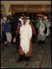 [Stunttiger MFF2006 007]