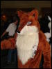 [Stunttiger MFF2006 008]