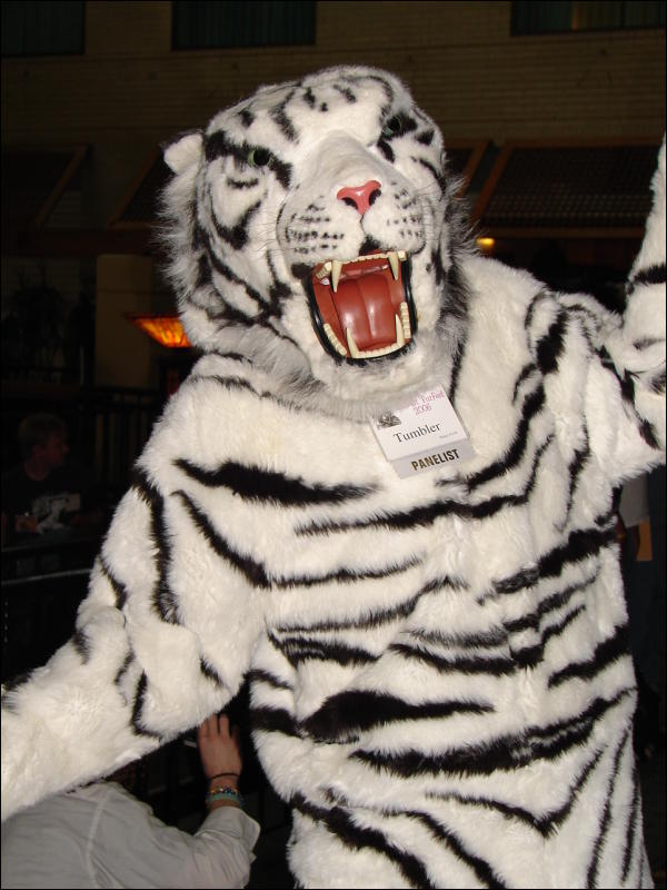 [Stunttiger_MFF2006_009.jpg]