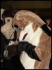 [Stunttiger MFF2006 010]