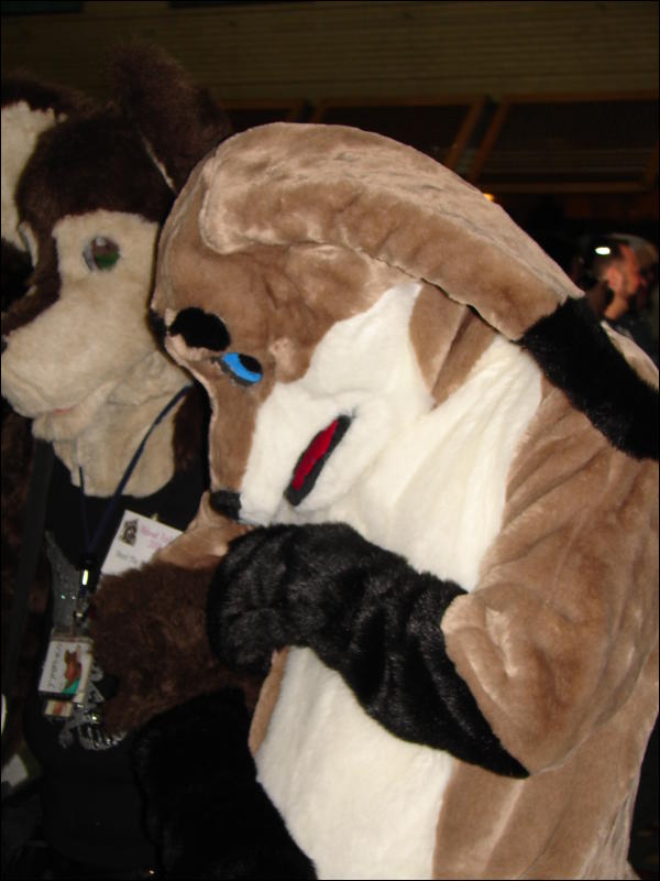 [Stunttiger_MFF2006_010.jpg]