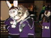 [Stunttiger MFF2006 013]