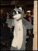 [Stunttiger MFF2006 014]