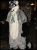 [Stunttiger MFF2006 020]