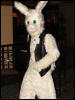 [Stunttiger MFF2006 022]