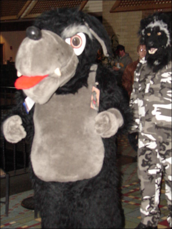 [Stunttiger_MFF2006_023.jpg]